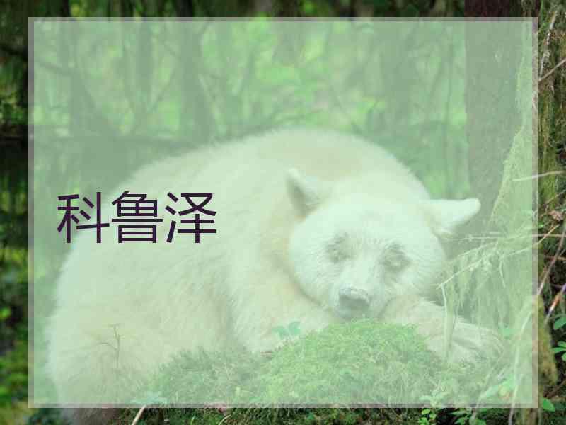 科鲁泽
