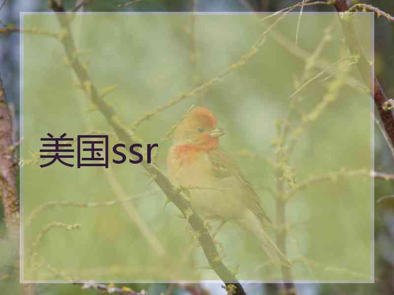 美国ssr