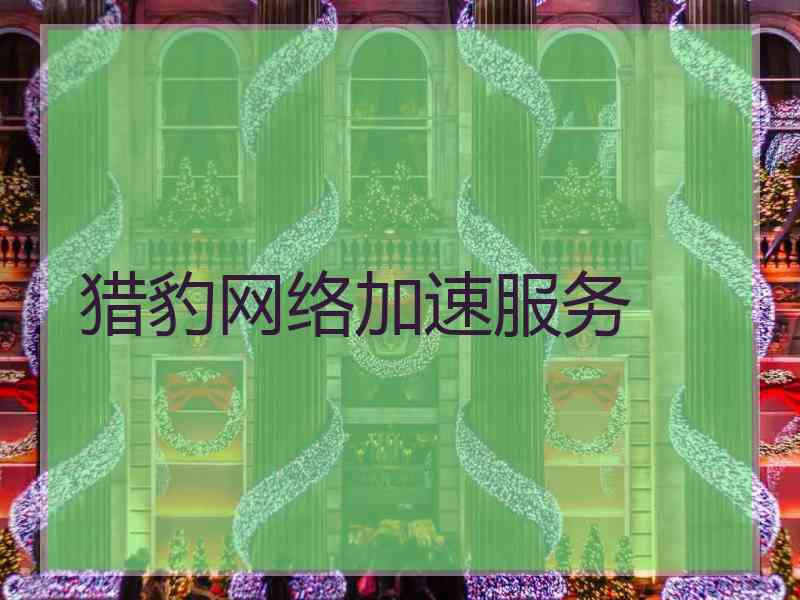 猎豹网络加速服务