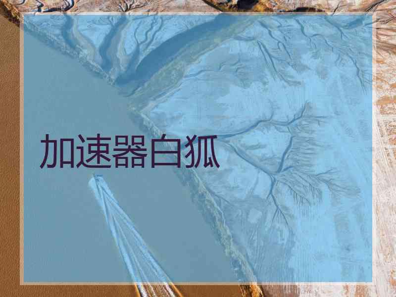 加速器白狐