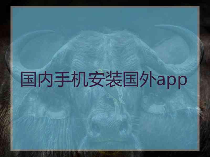国内手机安装国外app