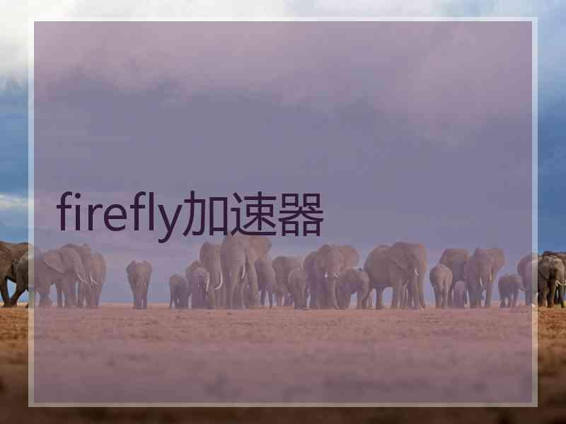 firefly加速器