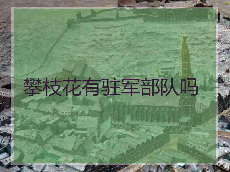 攀枝花有驻军部队吗