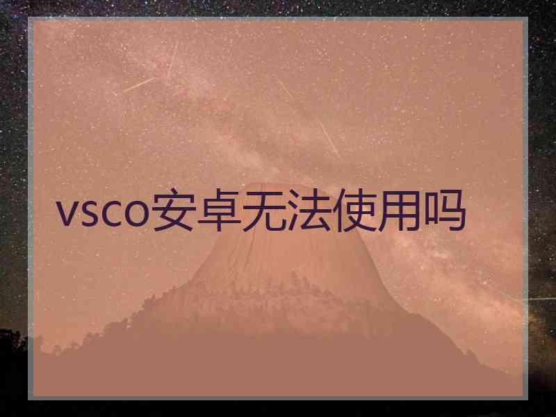 vsco安卓无法使用吗