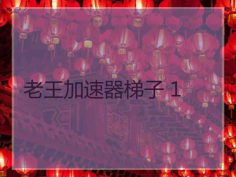 老王加速器梯子 1