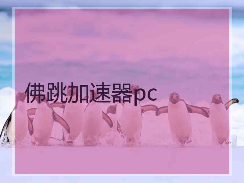 佛跳加速器pc