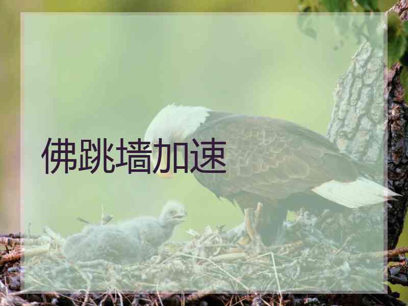 佛跳墙加速