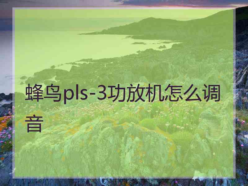 蜂鸟pls-3功放机怎么调音