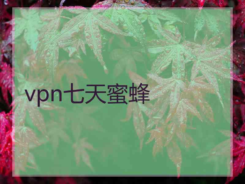 vpn七天蜜蜂
