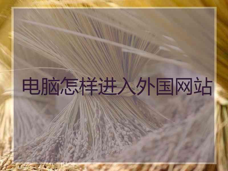 电脑怎样进入外国网站