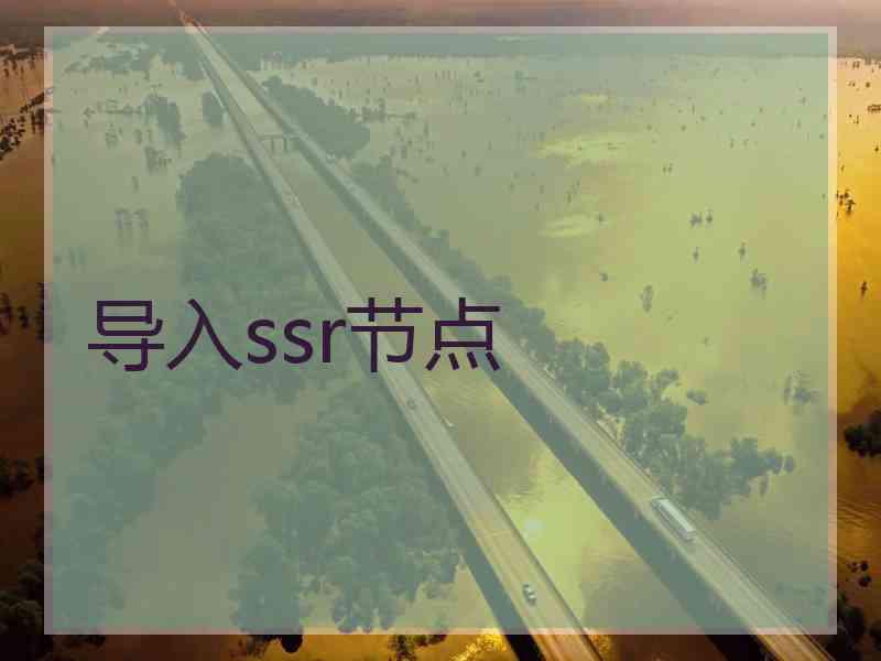 导入ssr节点