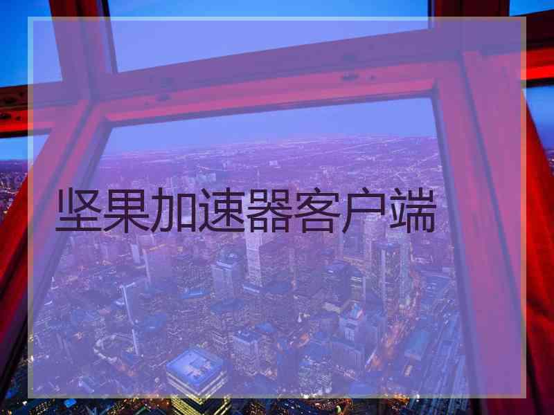 坚果加速器客户端