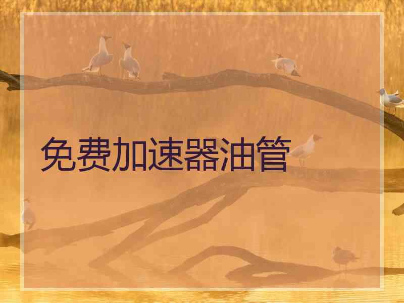 免费加速器油管