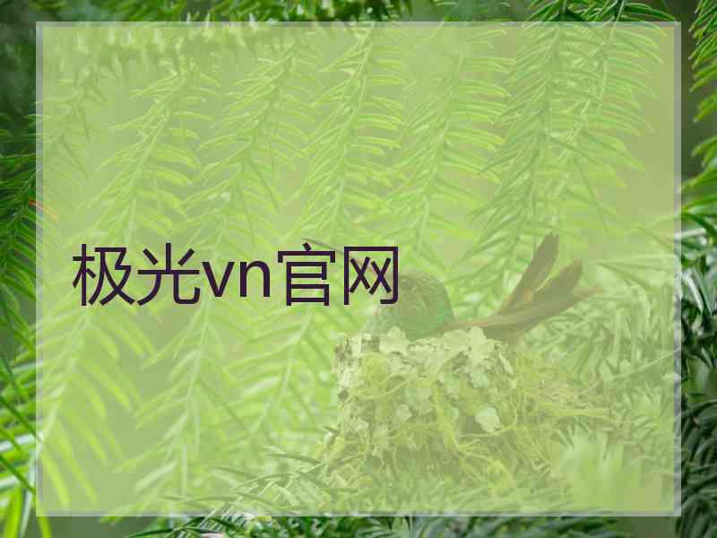 极光vn官网