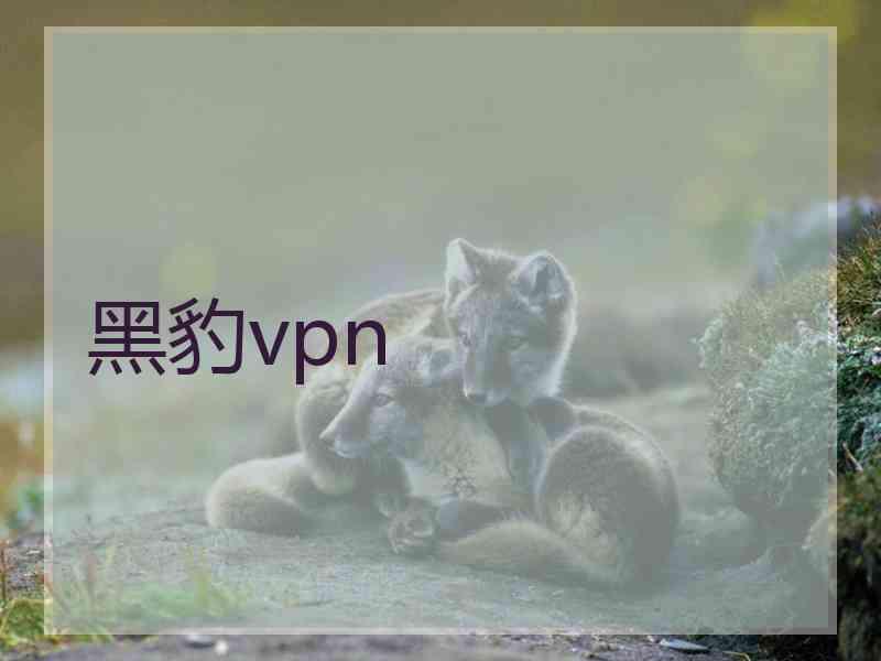 黑豹vpn