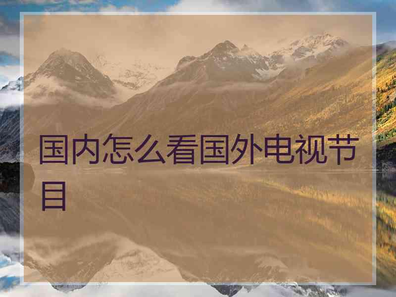 国内怎么看国外电视节目