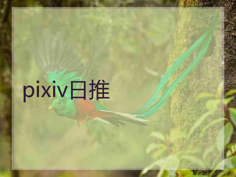 pixiv日推