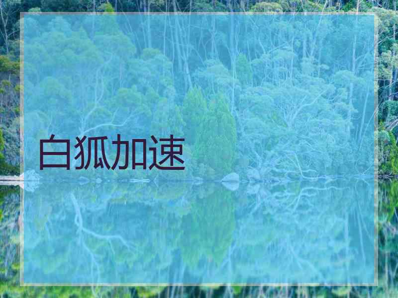 白狐加速