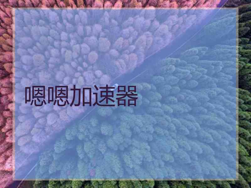 嗯嗯加速器