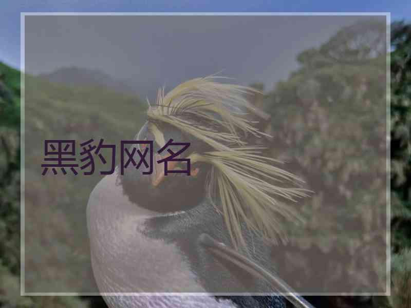 黑豹网名