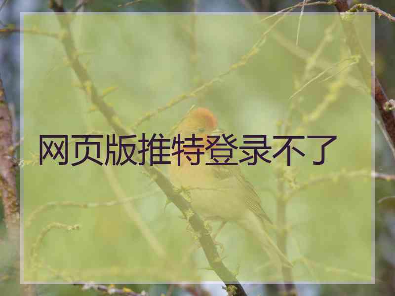 网页版推特登录不了