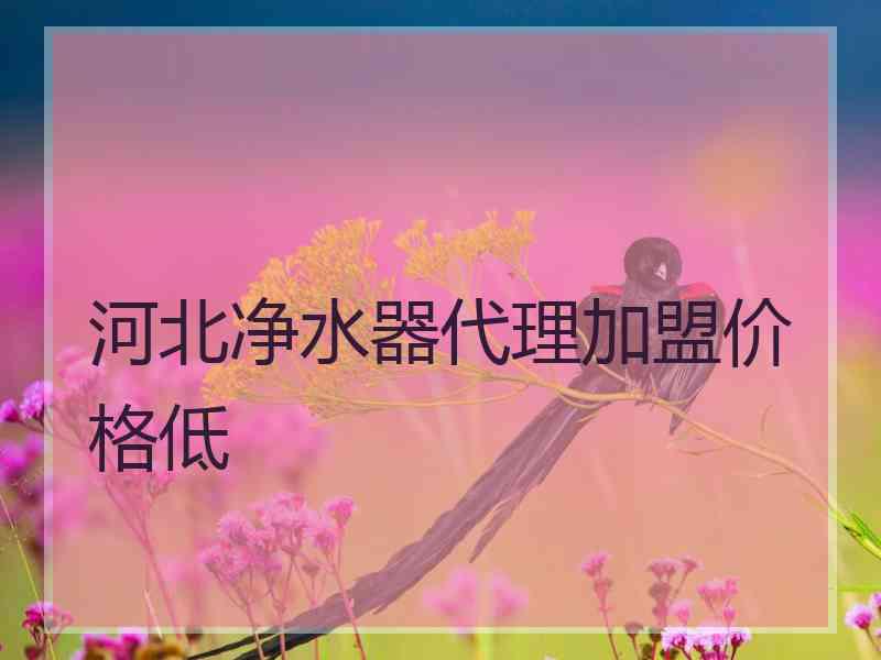 河北净水器代理加盟价格低