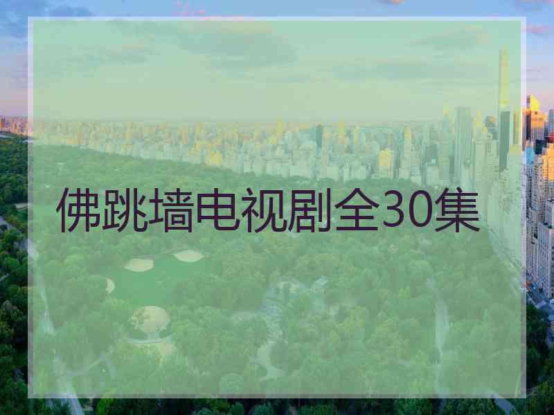 佛跳墙电视剧全30集
