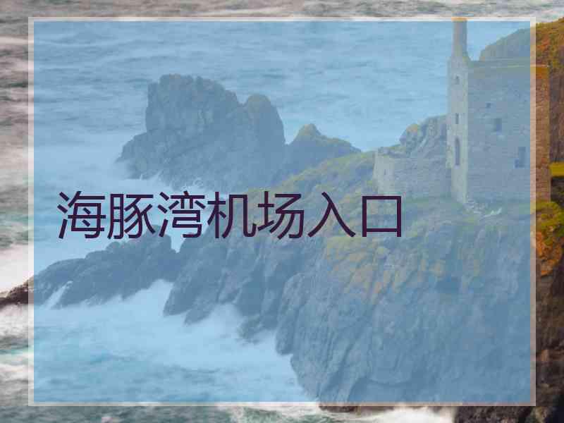 海豚湾机场入口