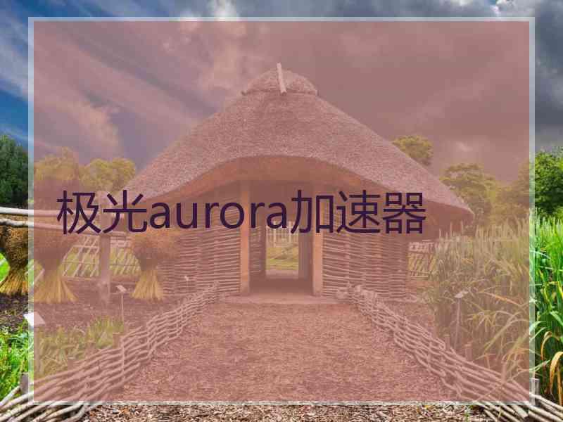 极光aurora加速器