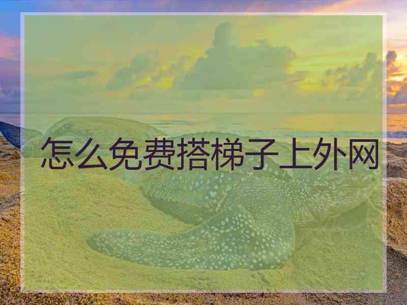 怎么免费搭梯子上外网