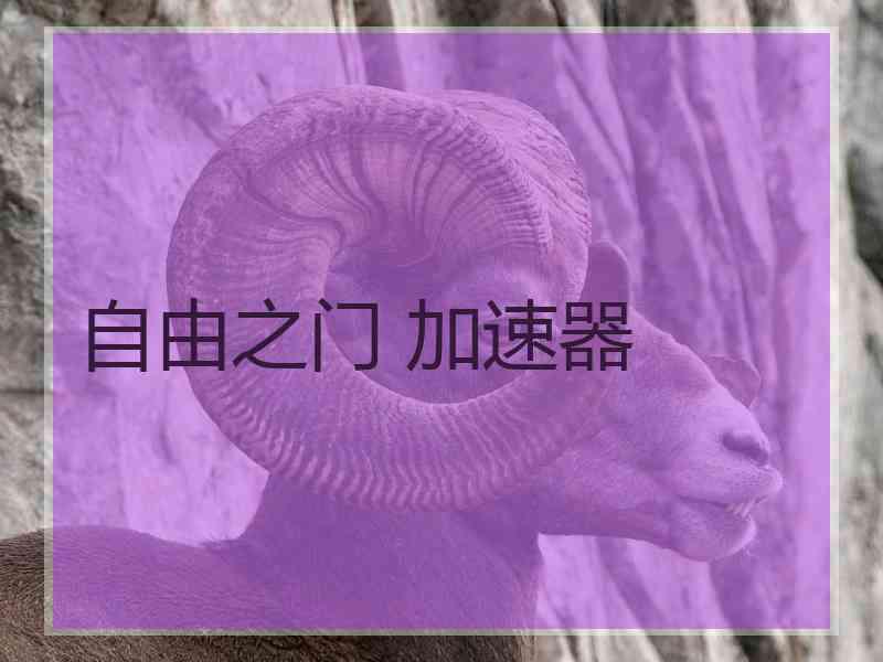 自由之门 加速器