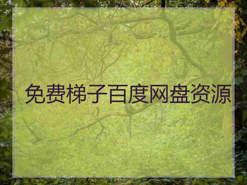 免费梯子百度网盘资源