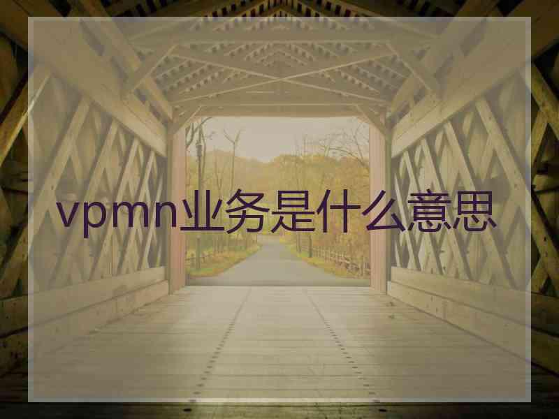 vpmn业务是什么意思
