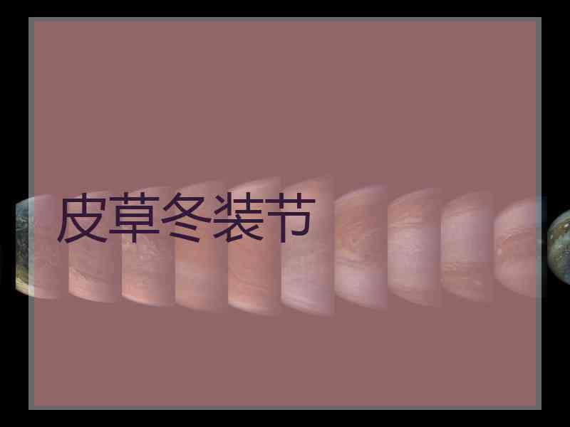 皮草冬装节