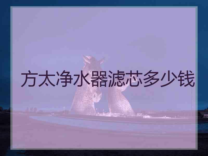 方太净水器滤芯多少钱