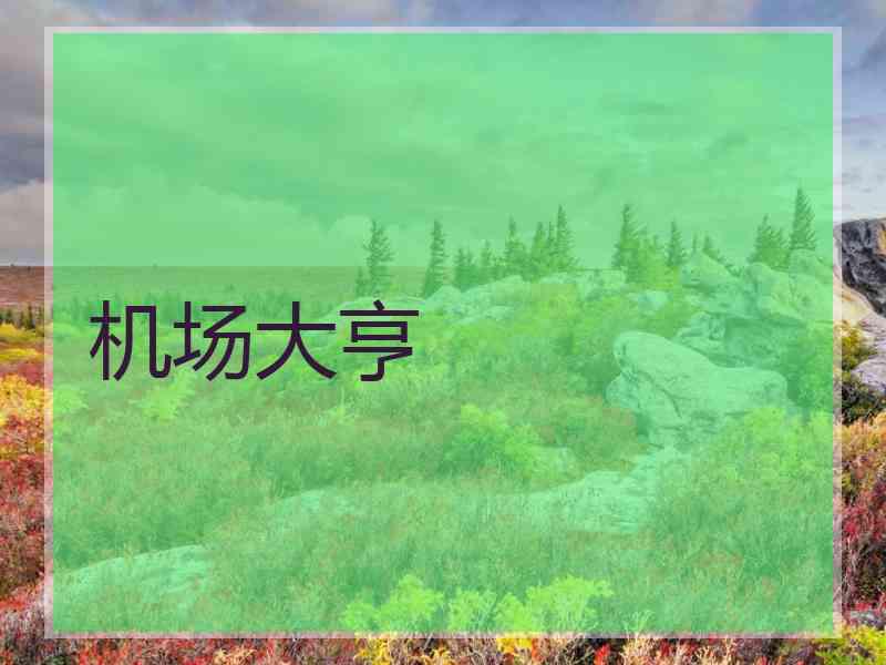 机场大亨