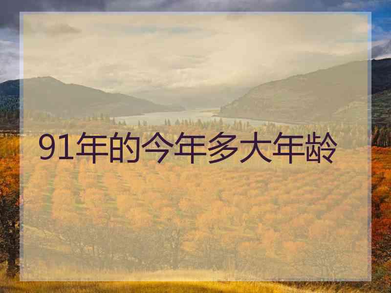 91年的今年多大年龄