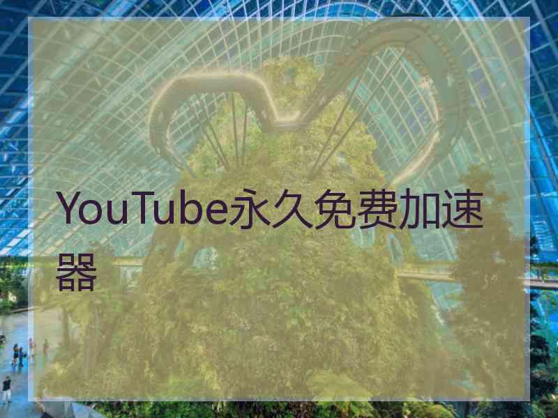 YouTube永久免费加速器