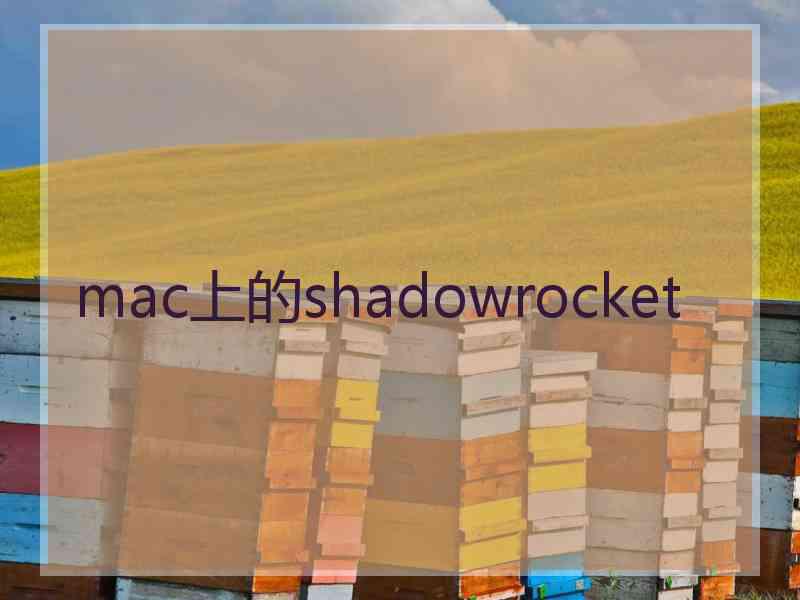 mac上的shadowrocket
