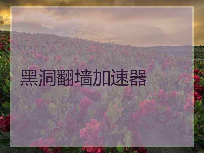 黑洞翻墙加速器
