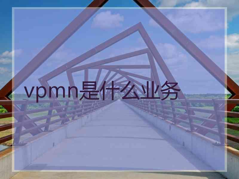 vpmn是什么业务