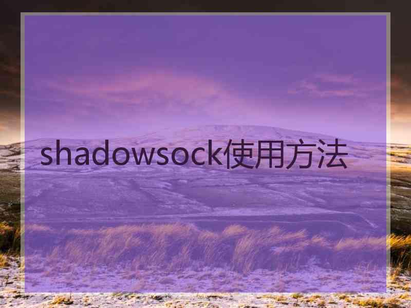 shadowsock使用方法