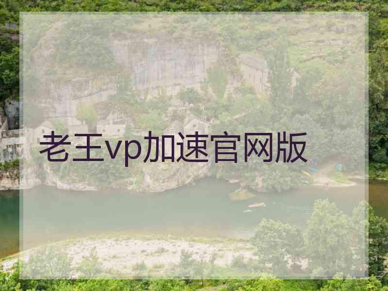 老王vp加速官网版