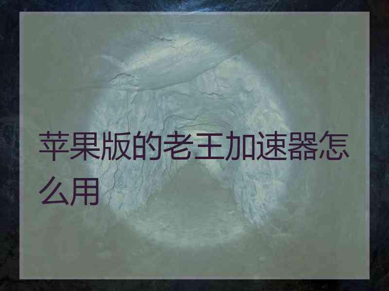 苹果版的老王加速器怎么用