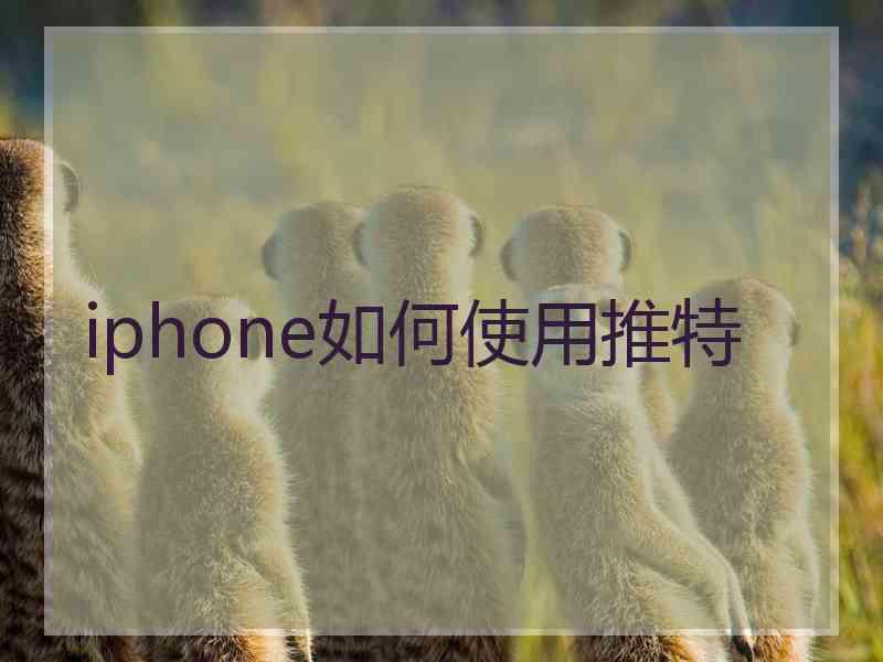 iphone如何使用推特