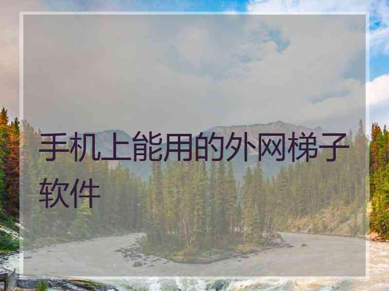 手机上能用的外网梯子软件