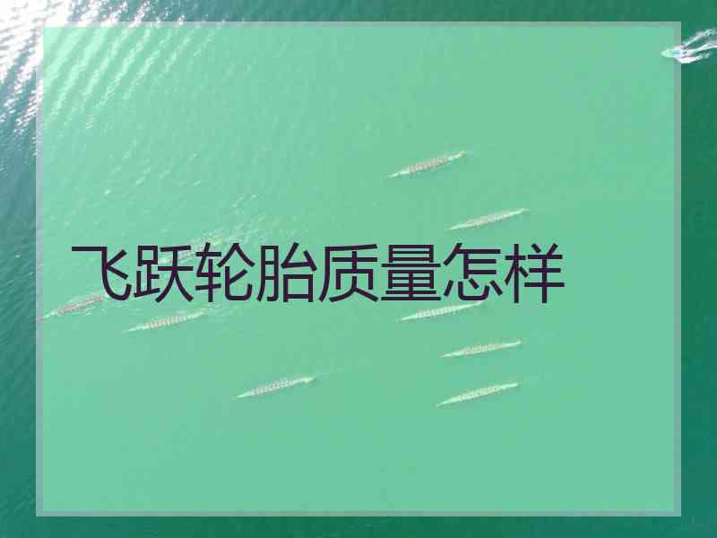 飞跃轮胎质量怎样
