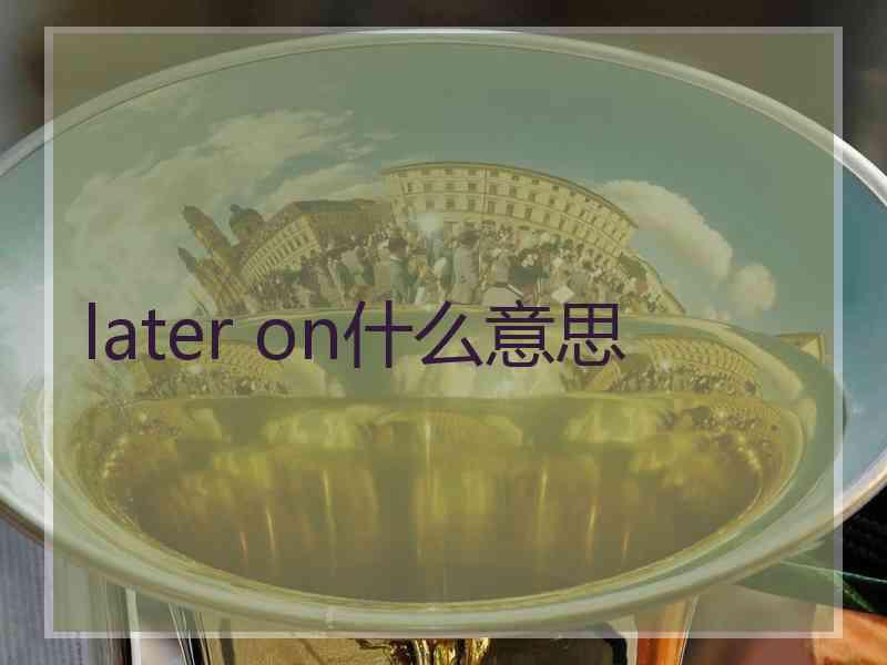 later on什么意思