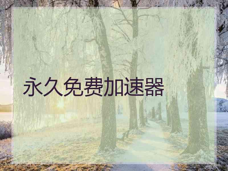 永久免费加速器