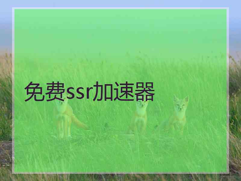 免费ssr加速器
